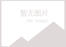 夏县山柏服务有限公司